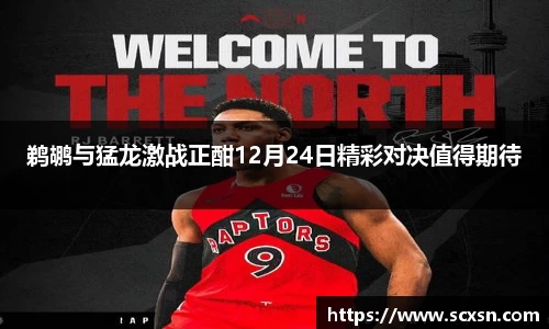 鹈鹕与猛龙激战正酣12月24日精彩对决值得期待